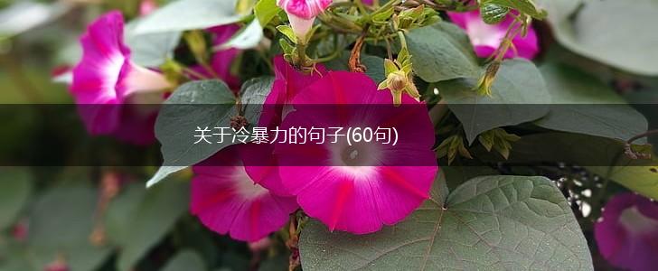 关于冷暴力的句子(60句),第1张