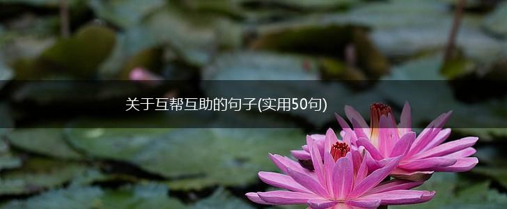 关于互帮互助的句子(实用50句),第1张