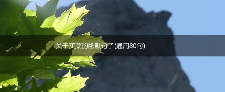 关于买菜的幽默句子(通用80句),第1张