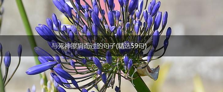 与死神擦肩而过的句子(精选59句),第1张