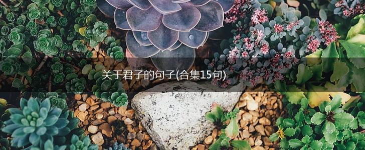 关于君子的句子(合集15句),第1张