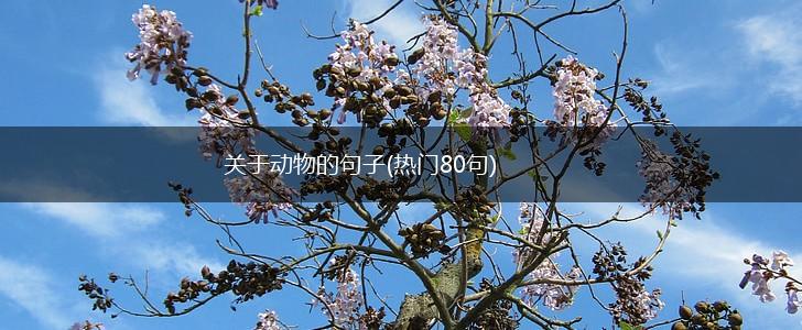 关于动物的句子(热门80句),第1张