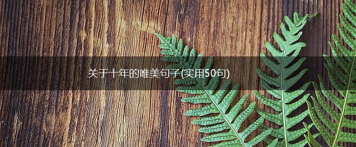 关于十年的唯美句子(实用50句),第1张