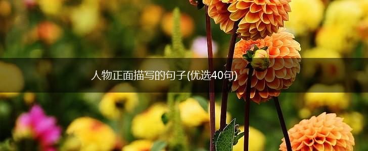 人物正面描写的句子(优选40句),第1张
