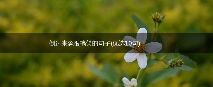 倒过来念很搞笑的句子(优选10句),第1张