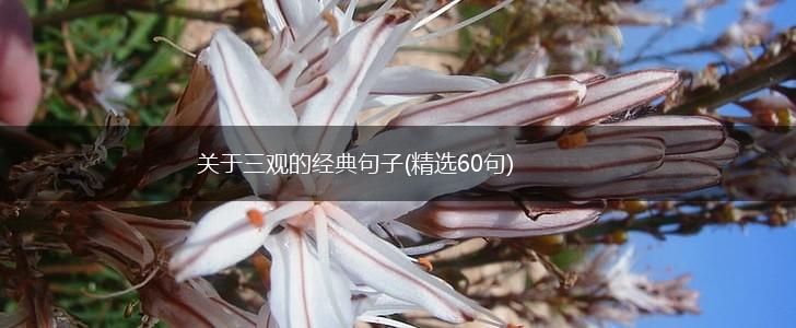 关于三观的经典句子(精选60句),第1张