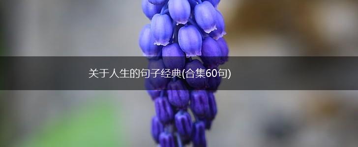 关于人生的句子经典(合集60句),第1张