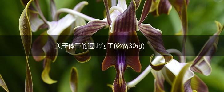 关于体重的逗比句子(必备30句),第1张