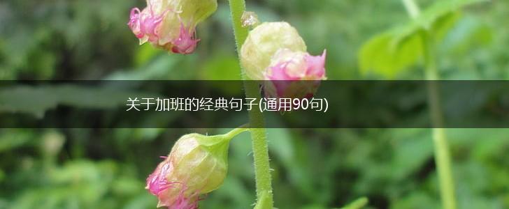 关于加班的经典句子(通用90句),第1张