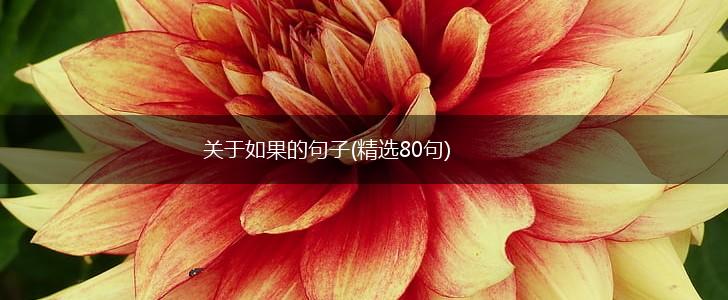 关于如果的句子(精选80句),第1张