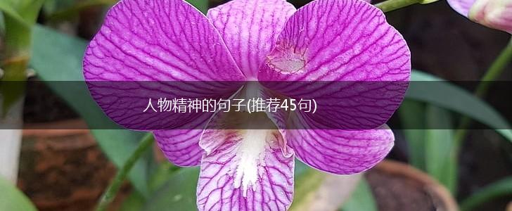 人物精神的句子(推荐45句),第1张