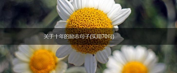关于十年的励志句子(实用70句),第1张