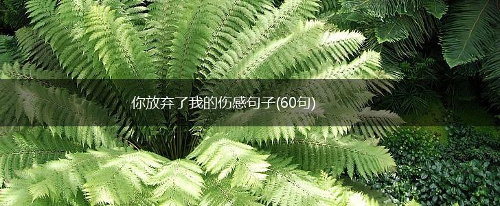 你放弃了我的伤感句子(60句),第1张