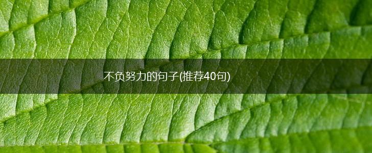 不负努力的句子(推荐40句),第1张