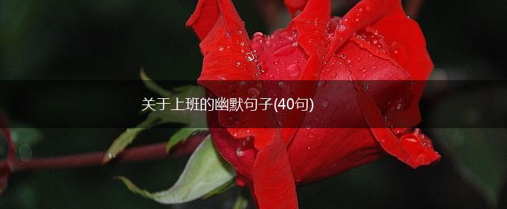 关于上班的幽默句子(40句),第1张