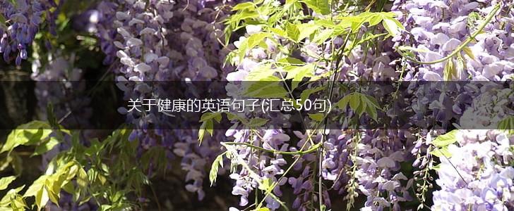 关于健康的英语句子(汇总50句),第1张