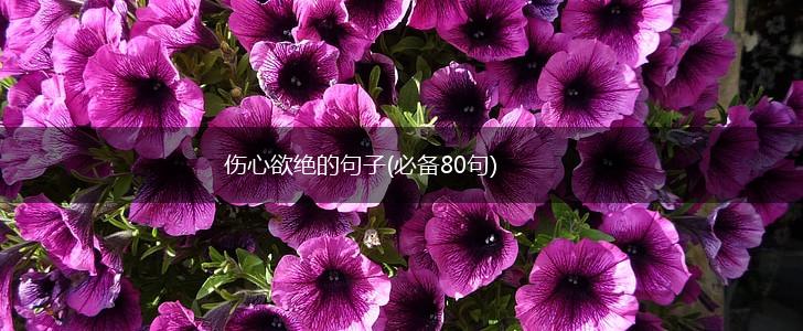 伤心欲绝的句子(必备80句),第1张