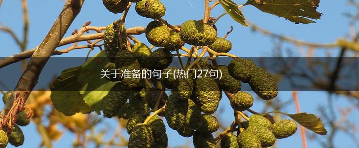 关于准备的句子(热门27句),第1张
