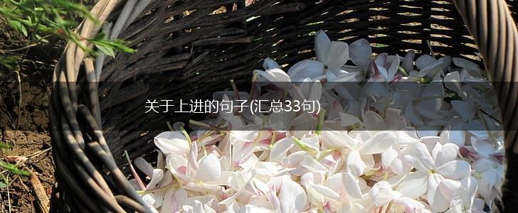 关于上进的句子(汇总33句),第1张