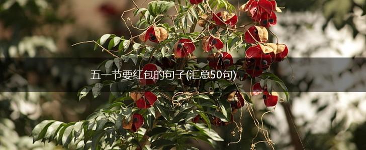 五一节要红包的句子(汇总50句),第1张