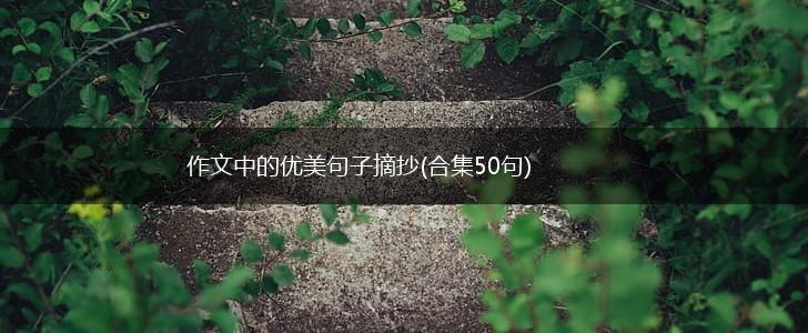 作文中的优美句子摘抄(合集50句),第1张