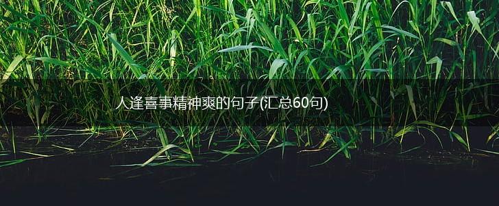 人逢喜事精神爽的句子(汇总60句),第1张