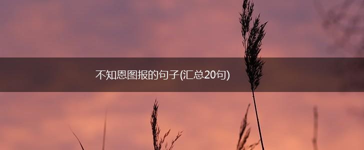 不知恩图报的句子(汇总20句),第1张