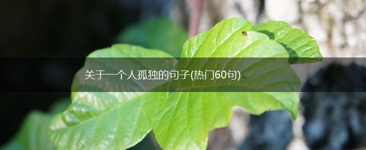 关于一个人孤独的句子(热门60句),第1张