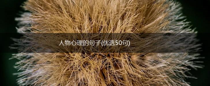 人物心理的句子(优选50句),第1张