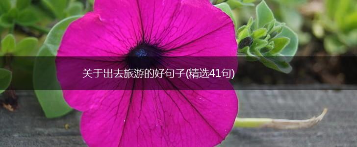 关于出去旅游的好句子(精选41句),第1张
