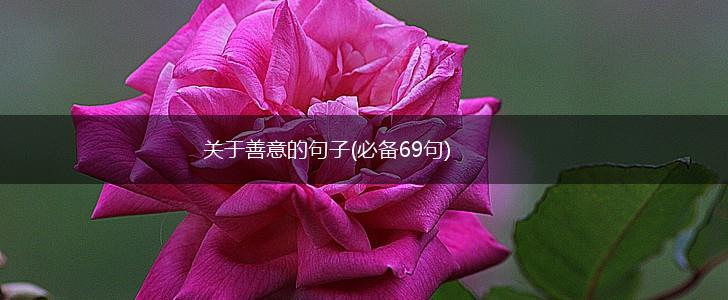 关于善意的句子(必备69句),第1张