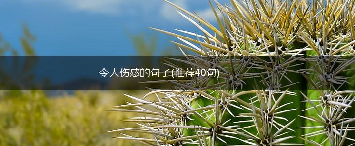 令人伤感的句子(推荐40句),第1张