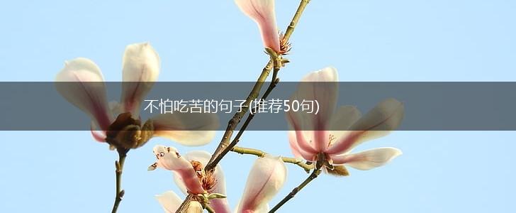 不怕吃苦的句子(推荐50句),第1张