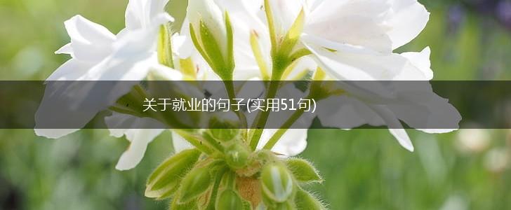 关于就业的句子(实用51句),第1张