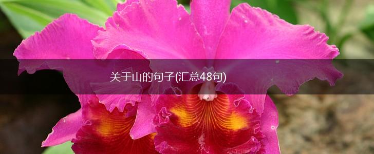 关于山的句子(汇总48句),第1张