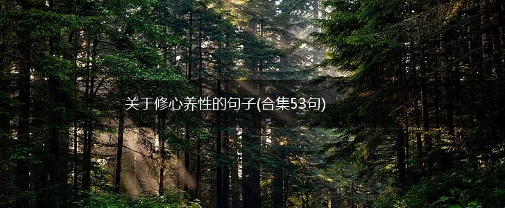 关于修心养性的句子(合集53句),第1张