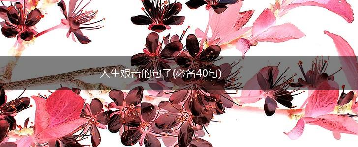 人生艰苦的句子(必备40句),第1张