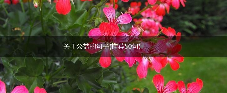 关于公益的句子(推荐50句),第1张