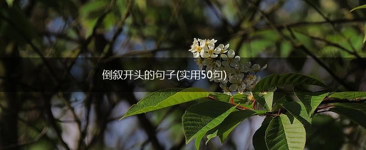 倒叙开头的句子(实用50句),第1张