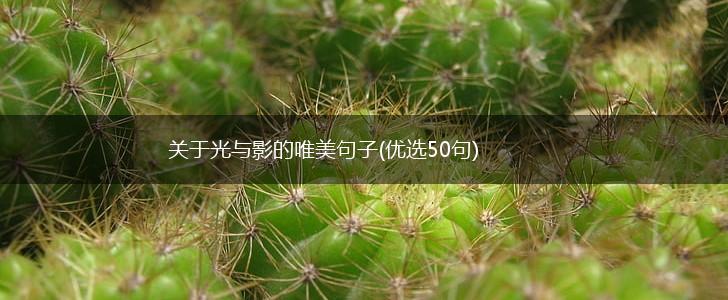 关于光与影的唯美句子(优选50句),第1张