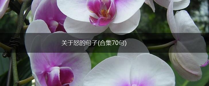 关于怒的句子(合集70句),第1张