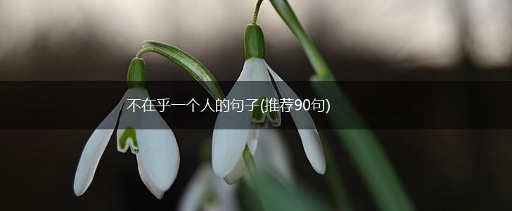 不在乎一个人的句子(推荐90句),第1张