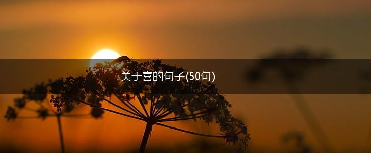 关于喜的句子(50句),第1张