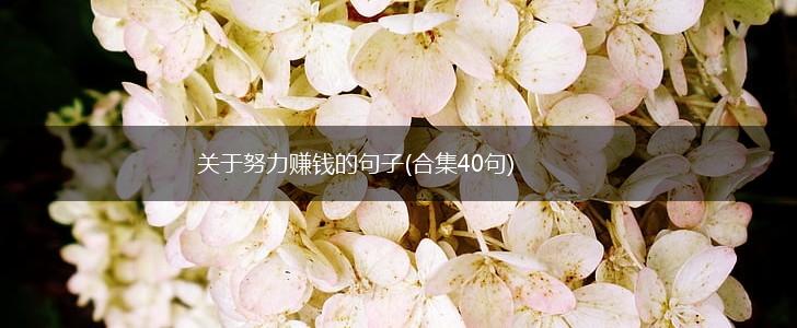 关于努力赚钱的句子(合集40句),第1张