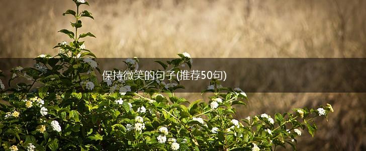 保持微笑的句子(推荐50句),第1张