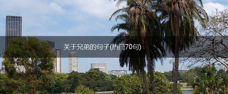 关于兄弟的句子(热门70句),第1张