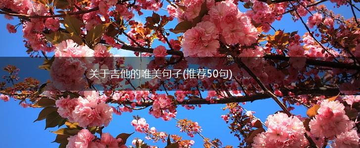 关于吉他的唯美句子(推荐50句),第1张