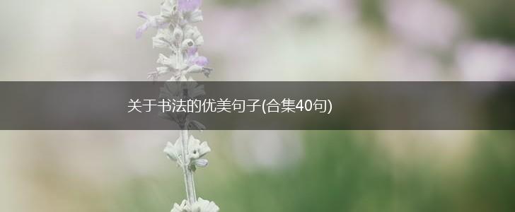 关于书法的优美句子(合集40句),第1张