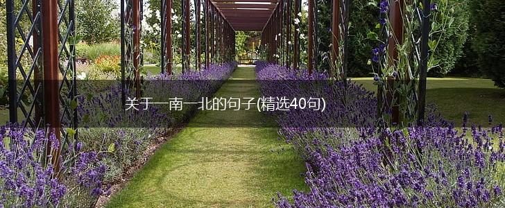 关于一南一北的句子(精选40句),第1张
