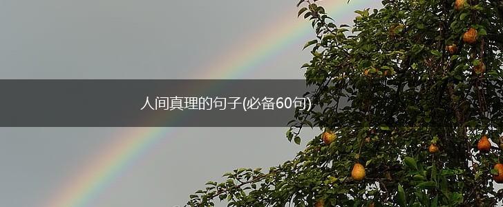 人间真理的句子(必备60句),第1张